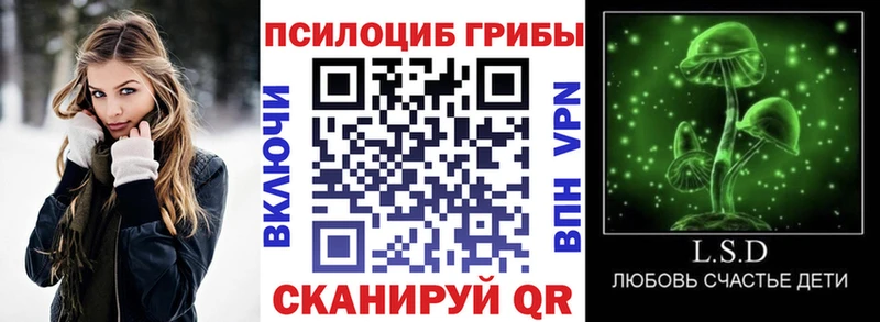 Купить закладки Любань Псилоцибиновые грибы прущие грибы